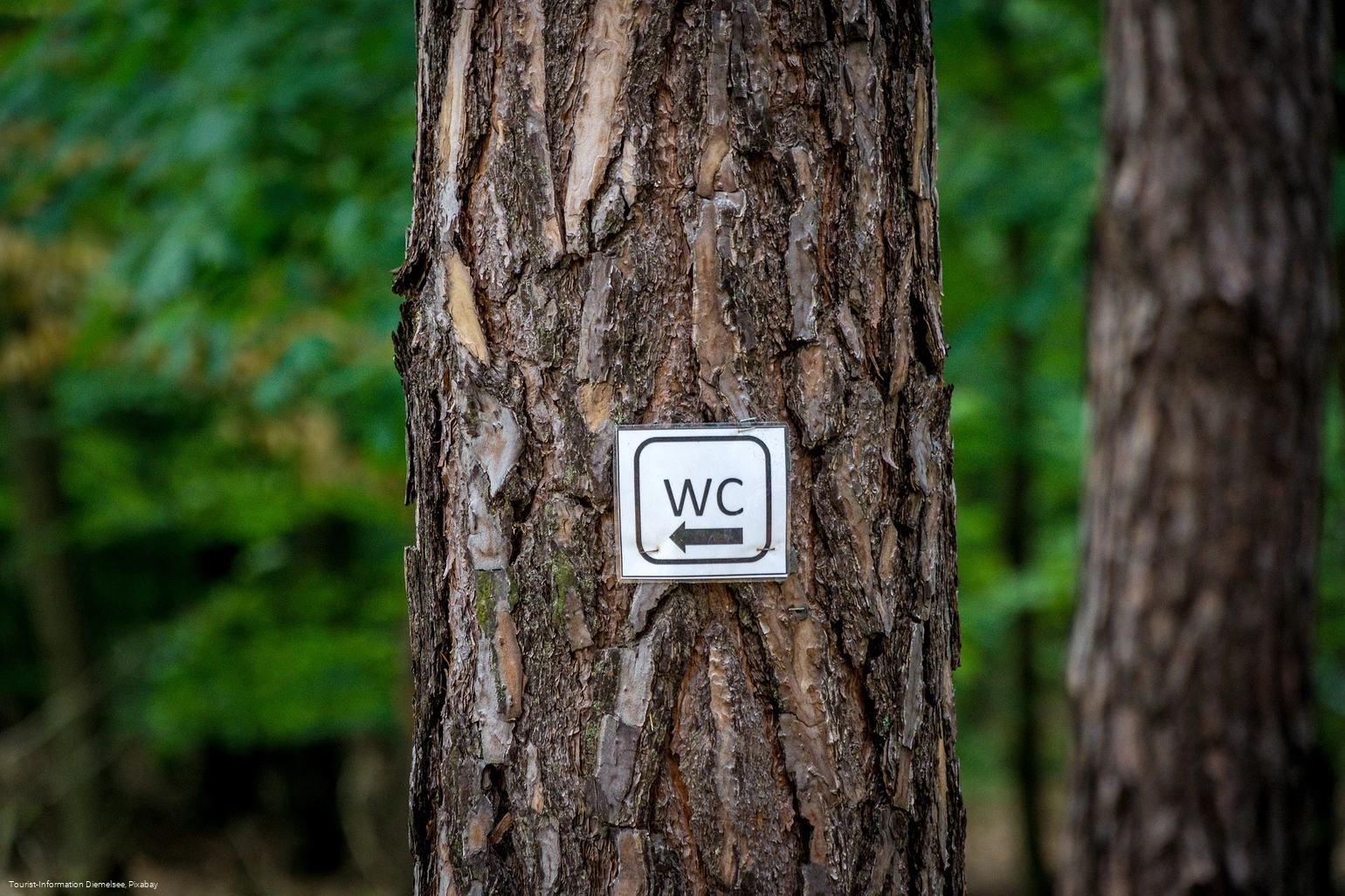 Öffentliche Toiletten am Diemelsee