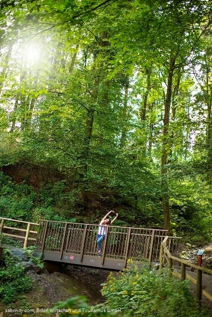 Möhnequelle Möhnequelle