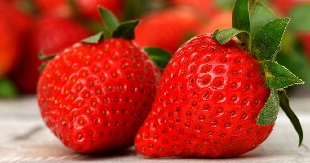 Erdbeeren