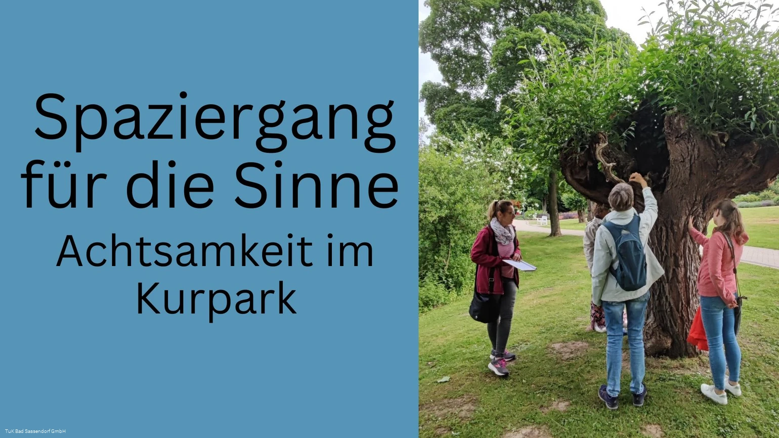 Spaziergang für die Sinne - Achtsamkeitsspaziergang im Kurpark Bad Sassendorf Spaziergang für die Sinne - Achtsamkeitsspaziergang im Kurpark Bad Sassendorf