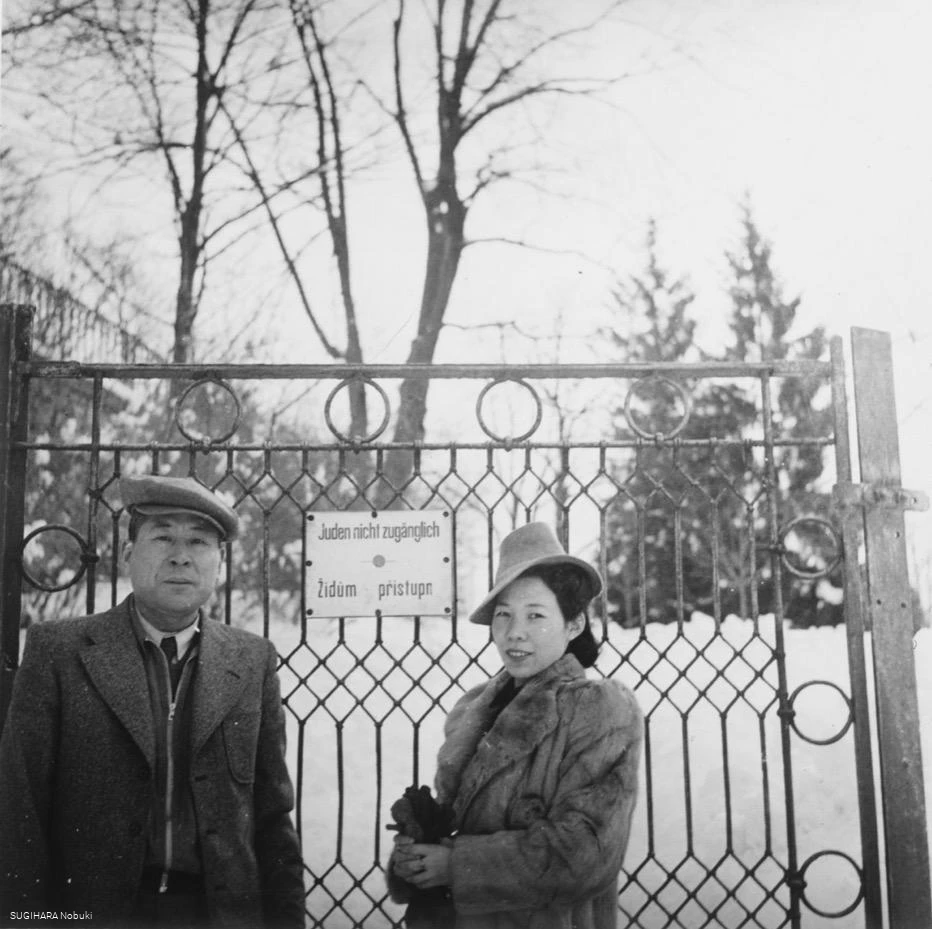 79c11d3e-dc02-4cba-b3c7-0bb939452f79.jpg 79c11d3e-dc02-4cba-b3c7-0bb939452f79.jpg