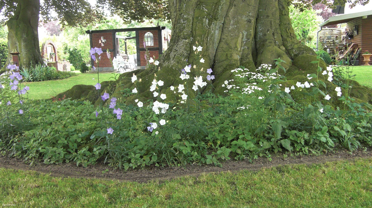 LIPPETAL - Mecks Landgarten (Meck) (1).JPG