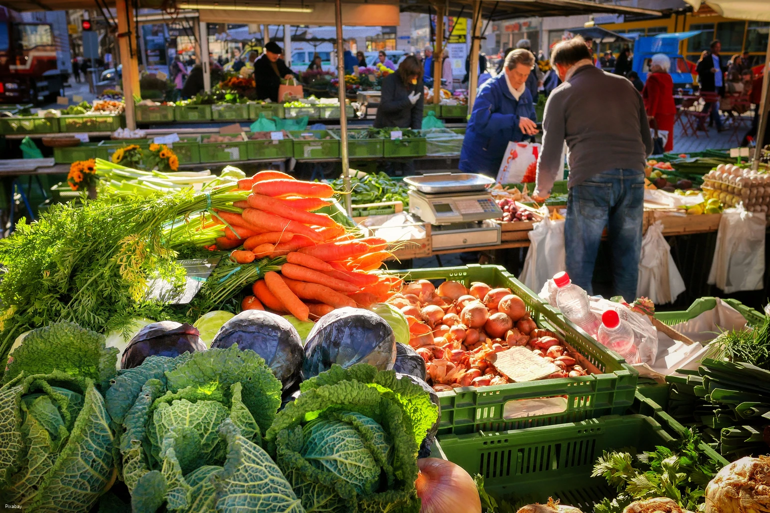 fietzfotos-vegetables-5992673.jpg fietzfotos-vegetables-5992673.jpg