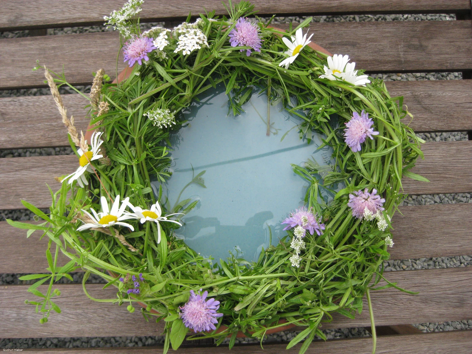 Frühsommerspaziergang Gudrun (002).JPG Frühsommerspaziergang Gudrun (002).JPG