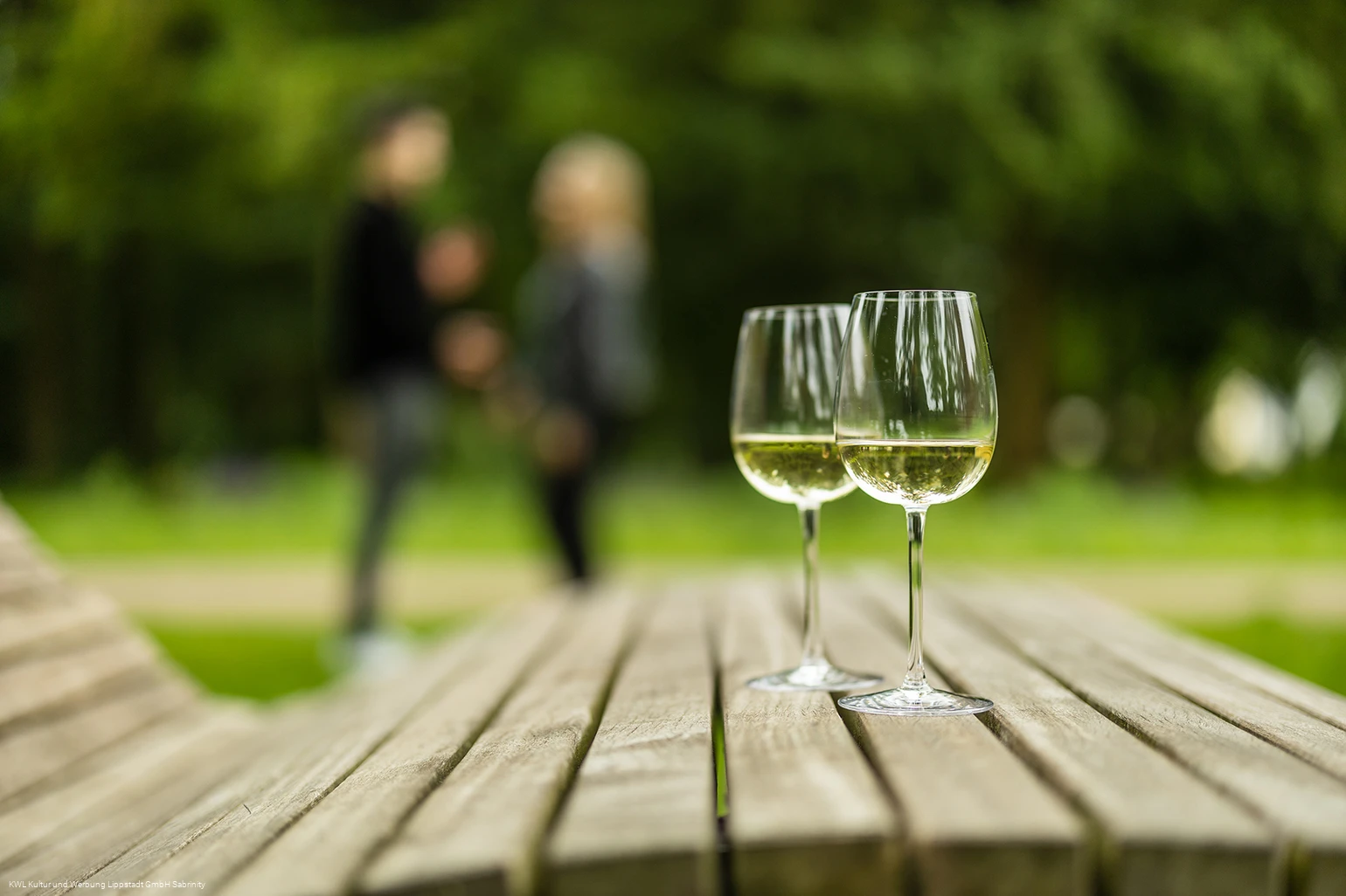 Weingläser Bad Waldliesborn 