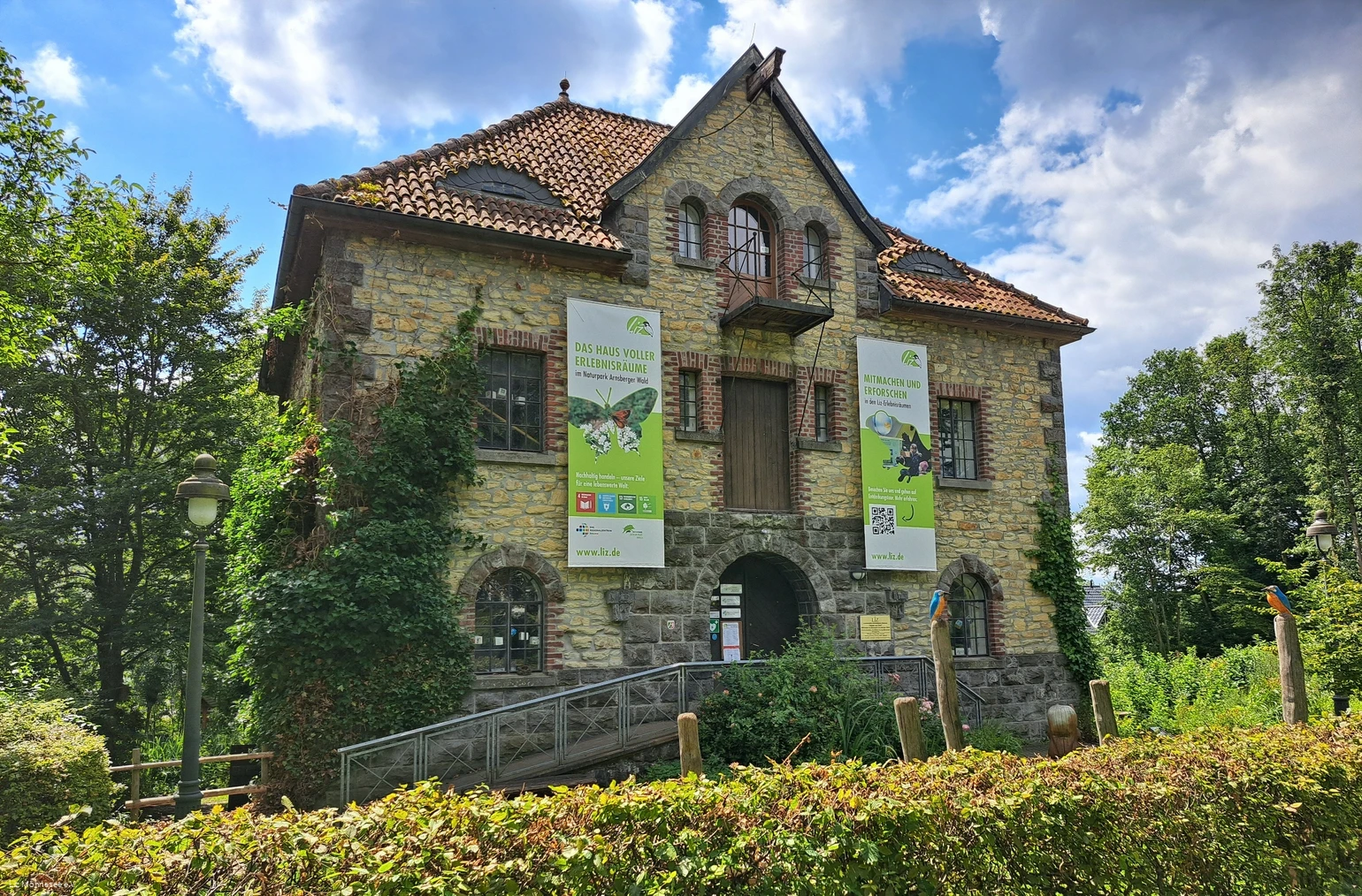 Liz im Juli 2024.jpg Liz im Juli 2024.jpg