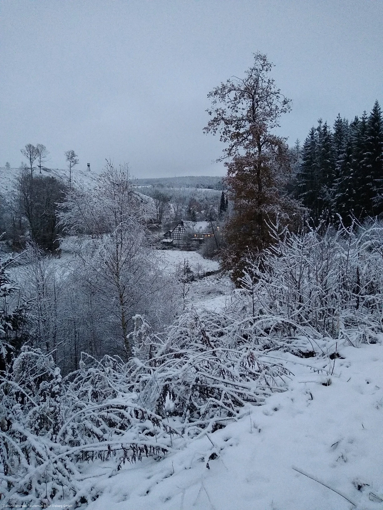 Altenbürener Mühle Dezember 2022