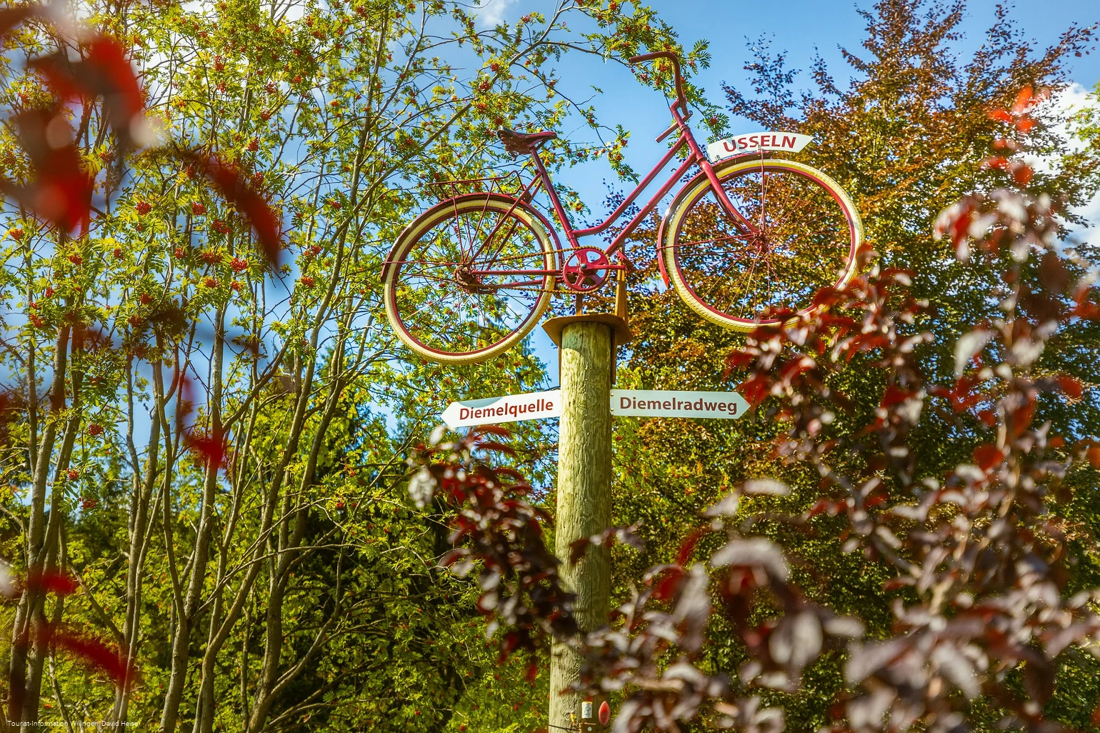wegweiser-fahrrad-diemelquelle c) david-heise-tourist-information-willingen.jpg