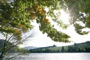 Naturschutzgebiet Diemelsee