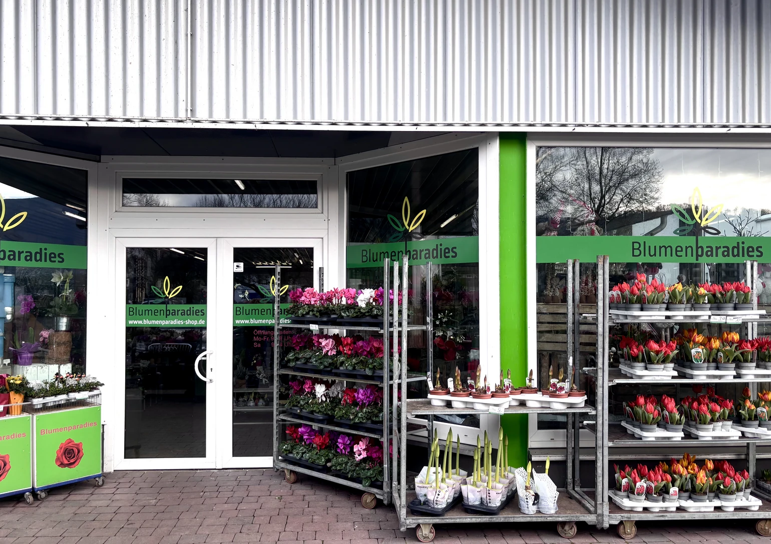 Foto Blumenparadies.jpeg