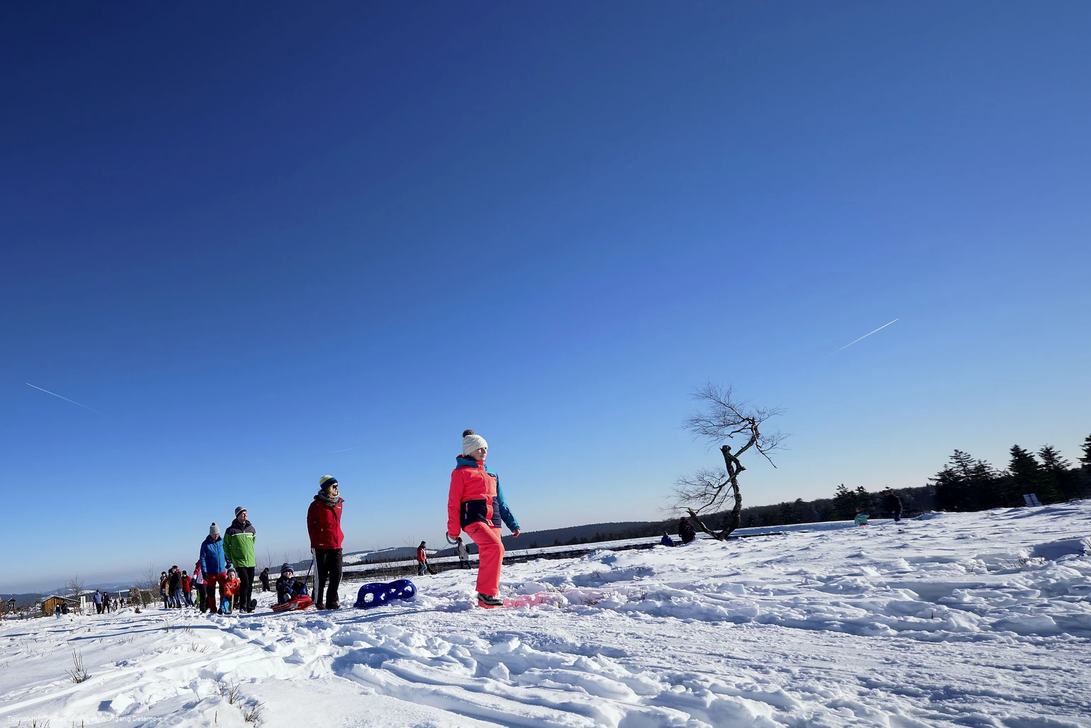 Familie mit Kindern auf Schlitten wandert auf dem Ettelsberg 