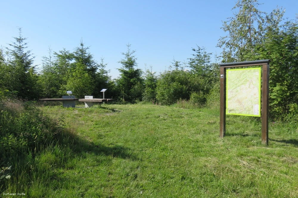 Bulsterkopf Sommer