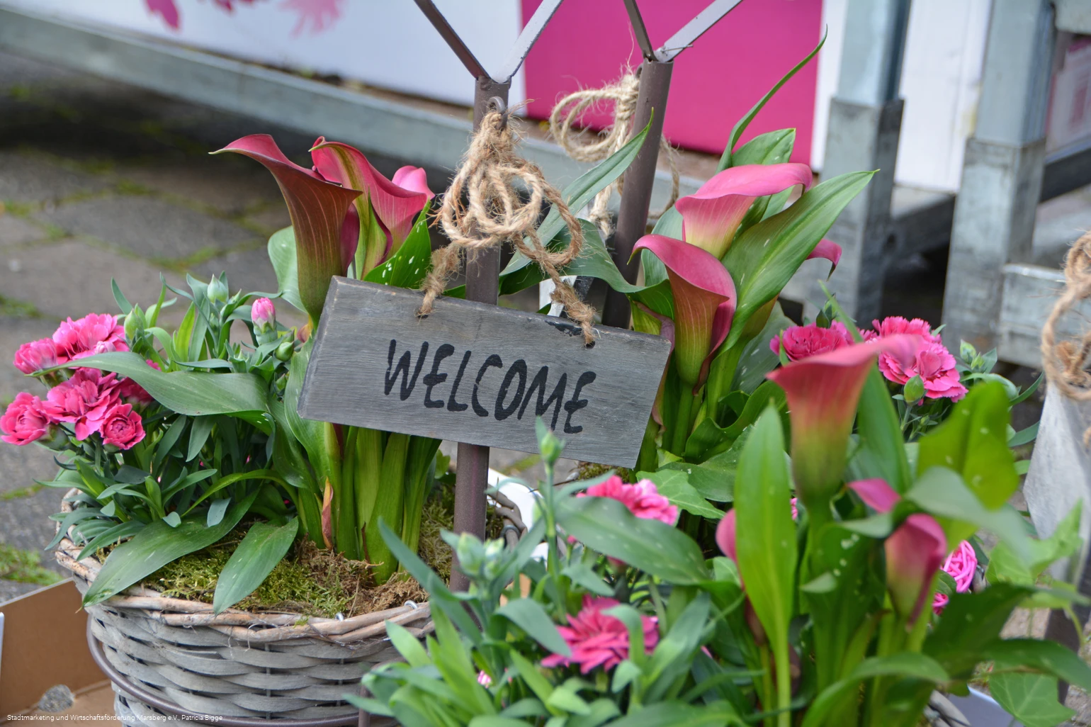 Wochenmarkt Marsberg