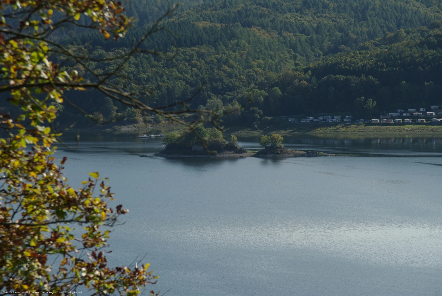 Liebesinsel bei Bringhausen