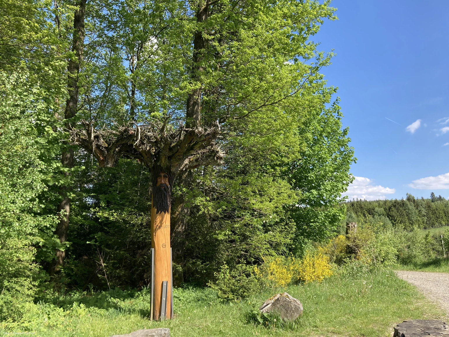 Rastplatz Jägerfichte