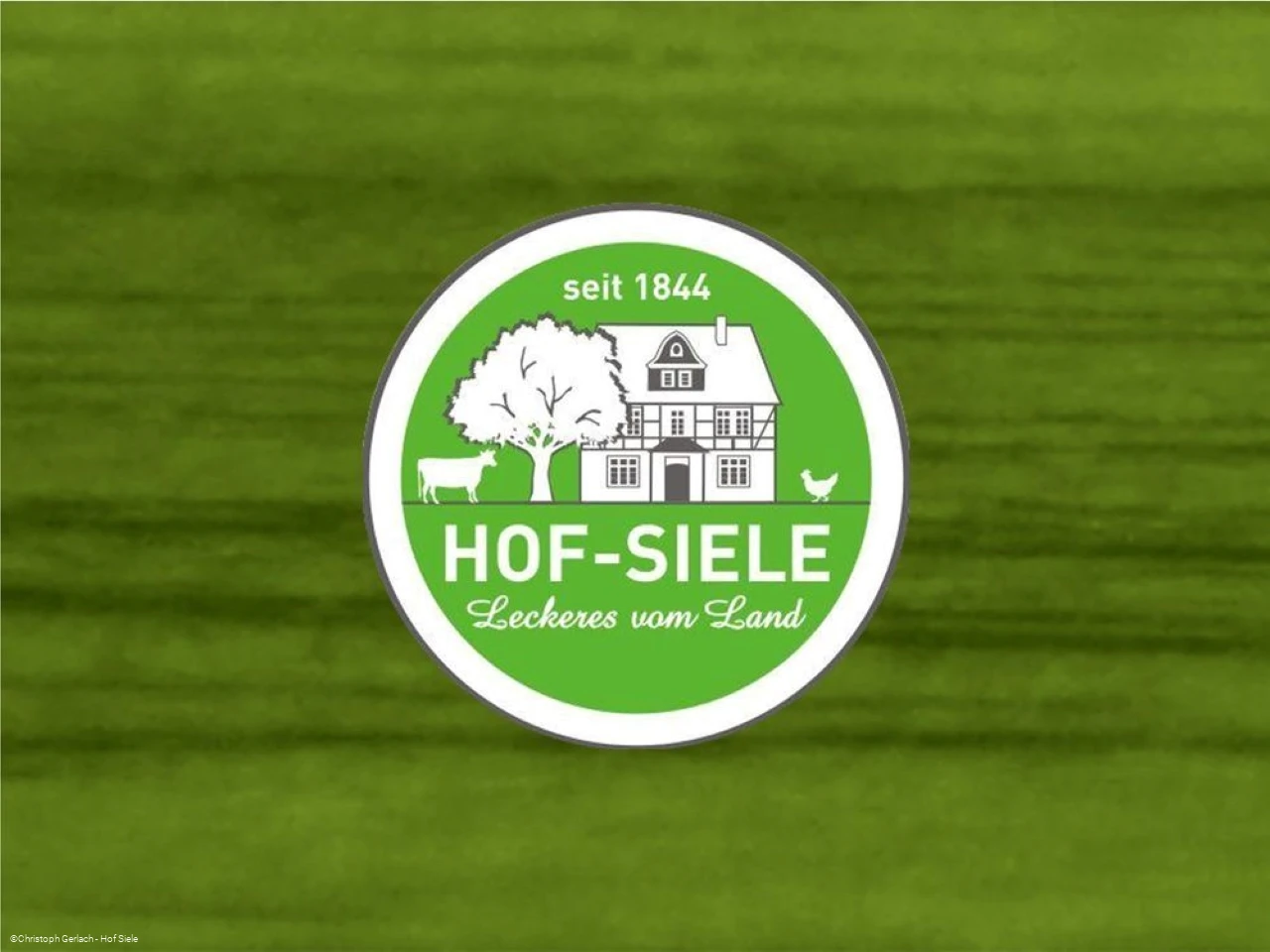Logo Hof Siele.jpg Logo Hof Siele.jpg